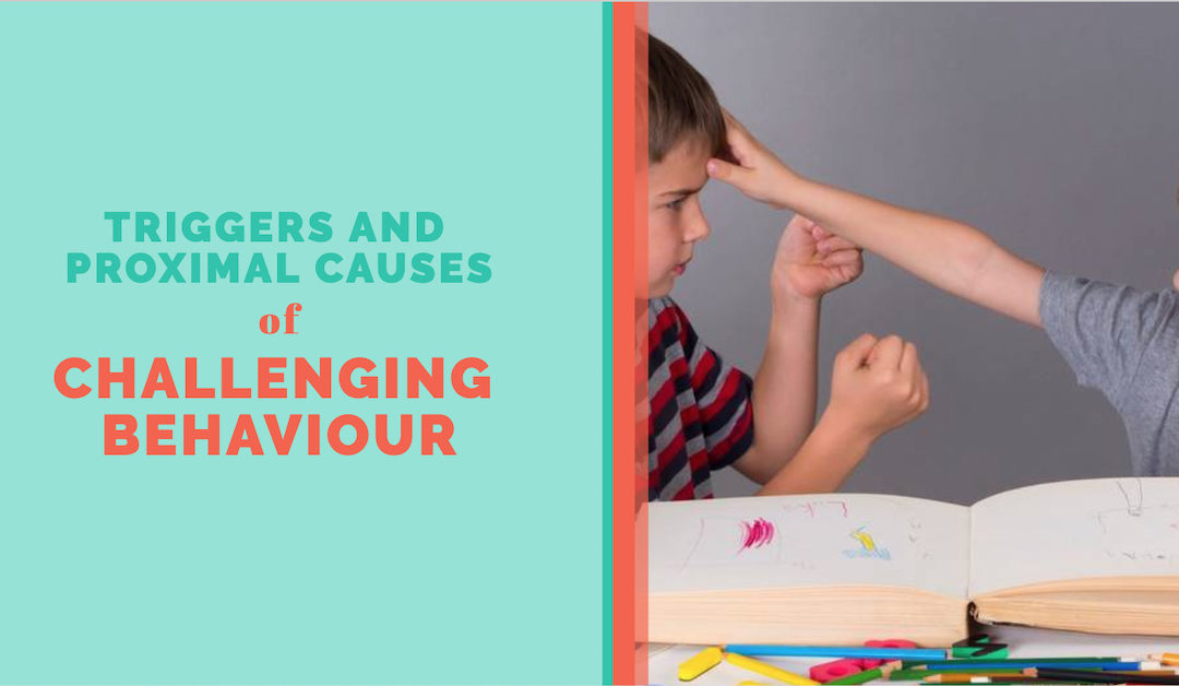 Triggers and Proximal Causes of Challenging Behaviour