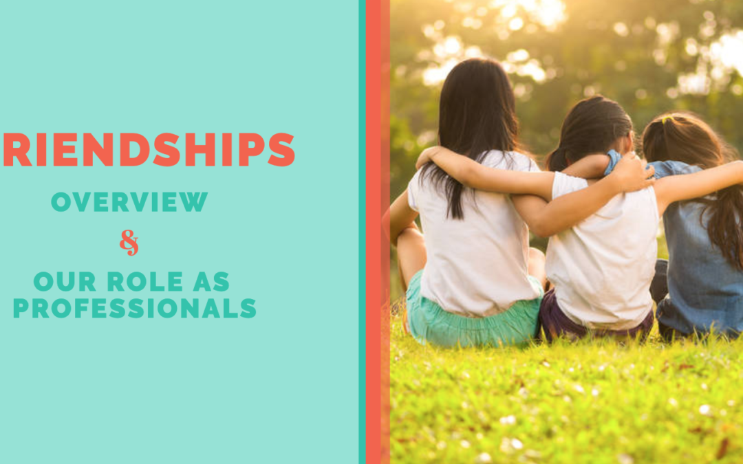 Friendships: Overview & Our Role As Professionals